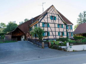 Gîte alsacien rénové avec jardin près de la Suisse et de l'Allemagne, idéal pour familles et amis - FR-1-744-29